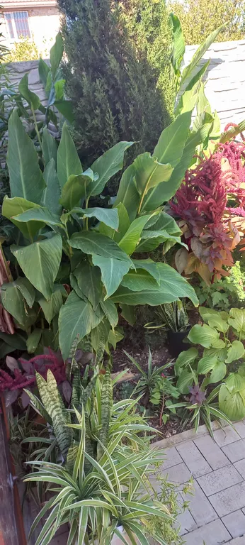 Коттедж Отдельный домик на Фиоленте — Севастополь