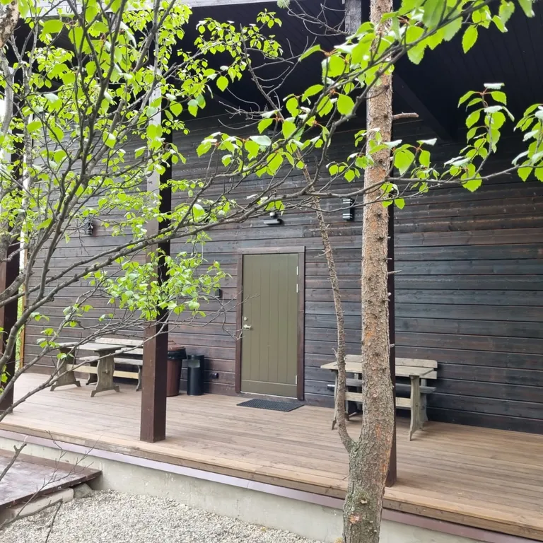 Уютный уголок на природе в сердце Мурманска