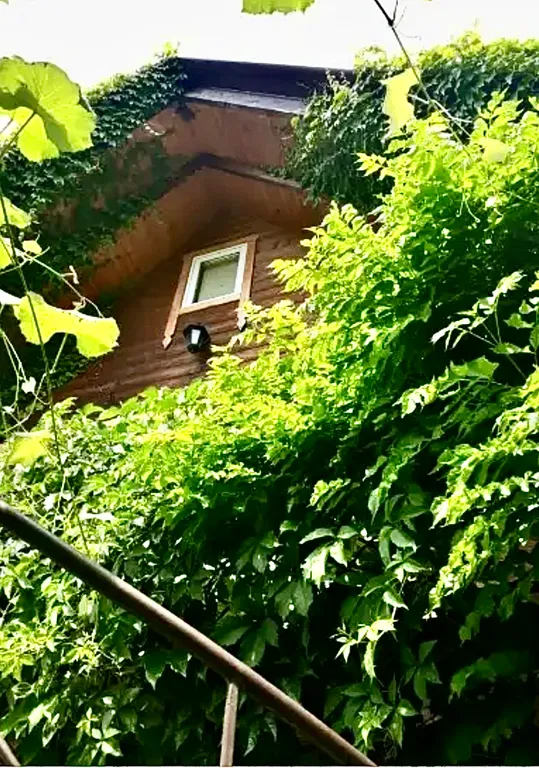 На Торговой