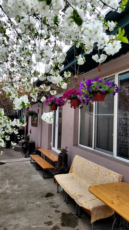 Коттедж 1-комнатный Дом — Кисловодск