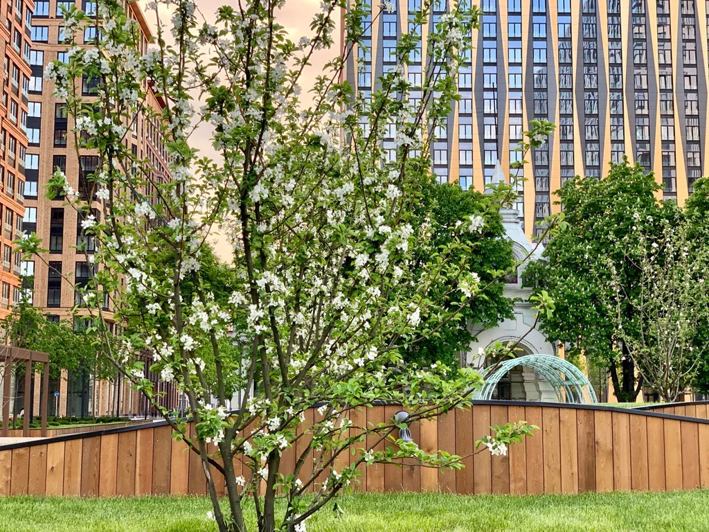 Квартира Квартира Comfort & Relax Home at Tsarskaya Ploshchad (Studio) — Москва