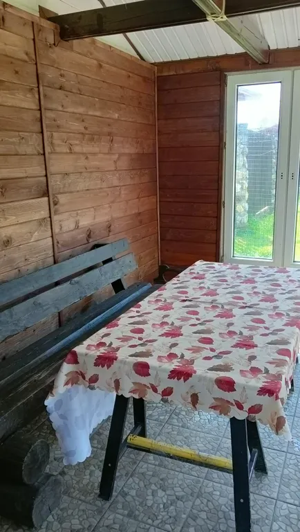 Дом-баня с бассейном