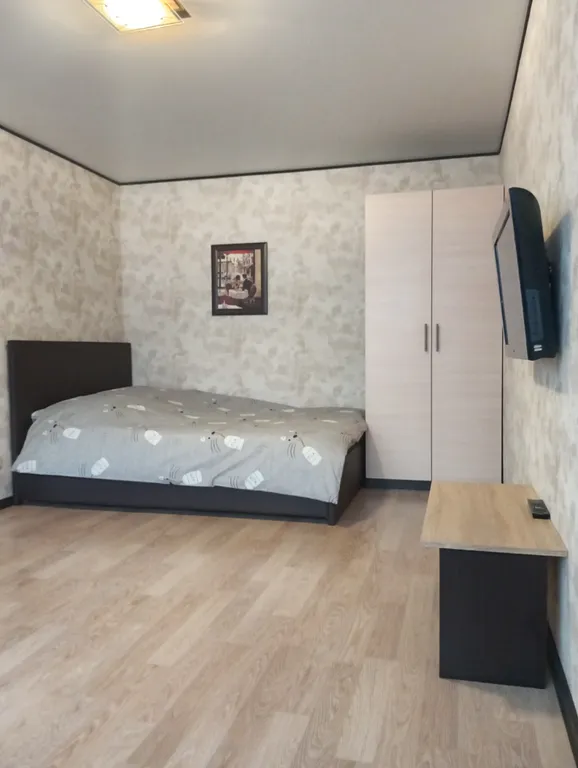 Уютная однокомнатная квартира в Гатчине — аренда посуточно в Гатчина