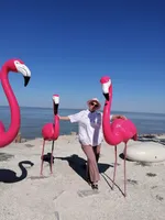 Ирина Крестьянинова