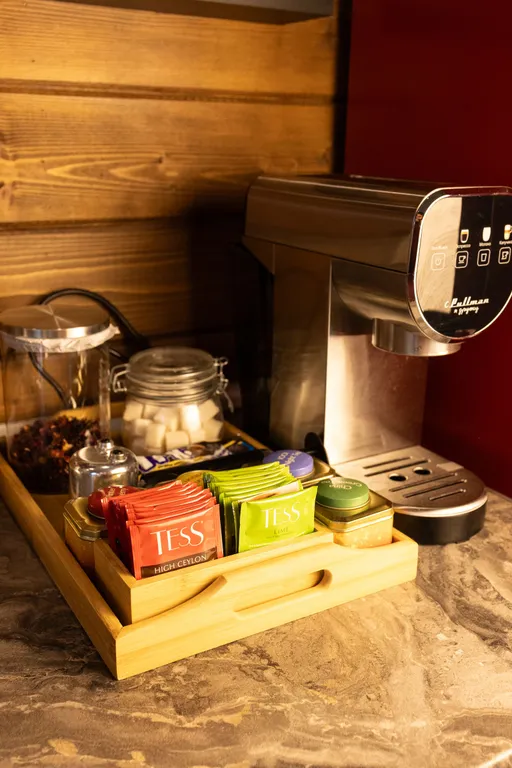 Ольшаны_Парк Дом Шале у леса с баней и горячей купелью