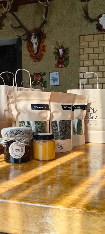 Дом в Беловежской пуще