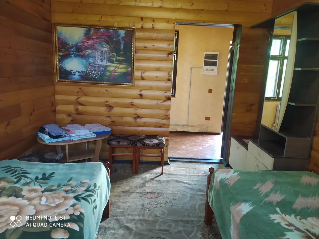 Дом в эко стиле