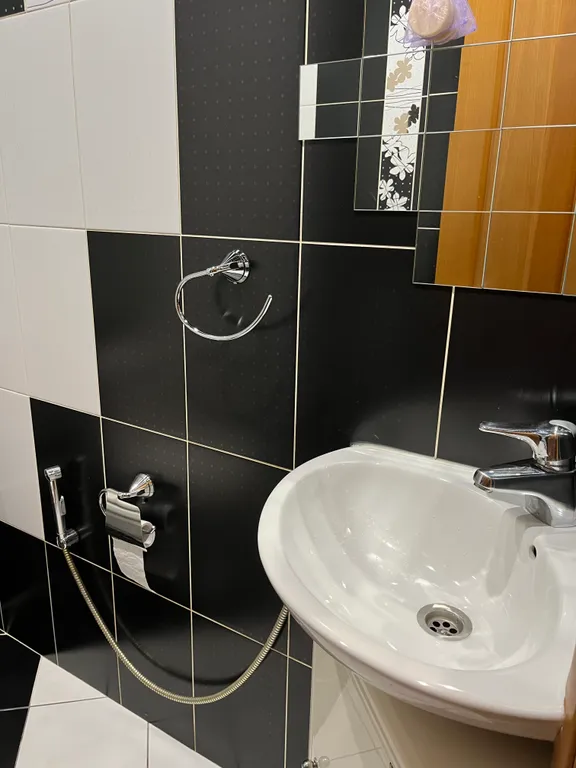 Просторная современная квартира в центре города