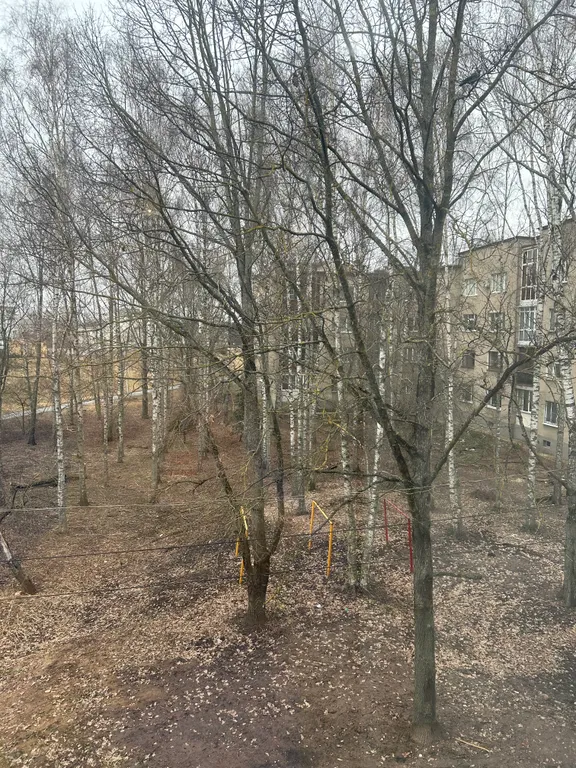 Квартира Квартира Комфортное проживание в центре города — Великий Новгород