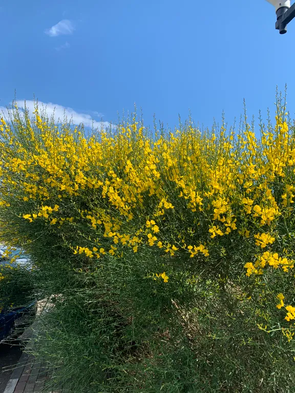 Уютная квартира у моря