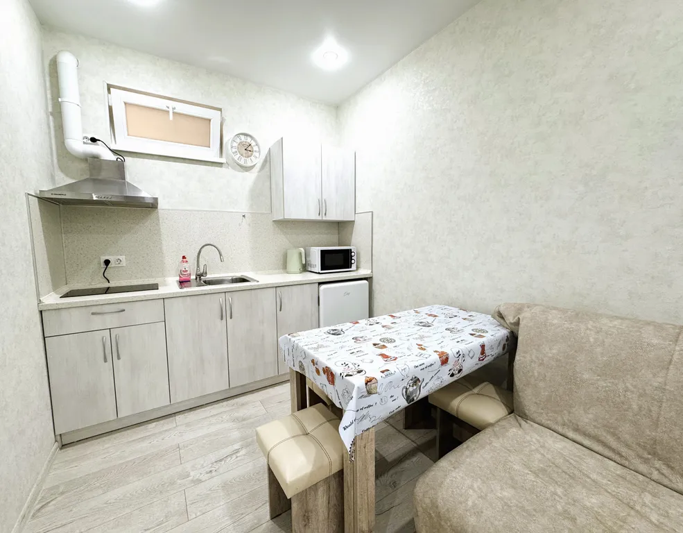 Семейные апартаменты - студия с кухней и отдельным входом №5