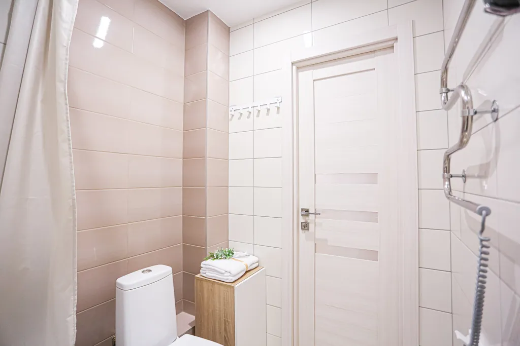 SunSet студия Цветной лев