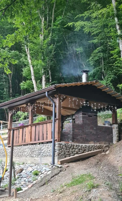 Таунхаус в лесу