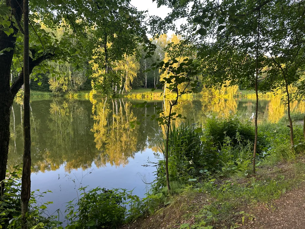 Дом Сказка в лесу