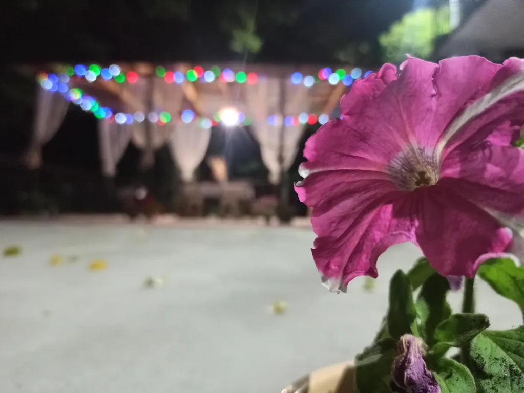 Квартира Комната — Сухум