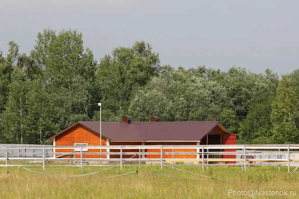 Коттедж Коттедж Усадьба Красивая — Коришево