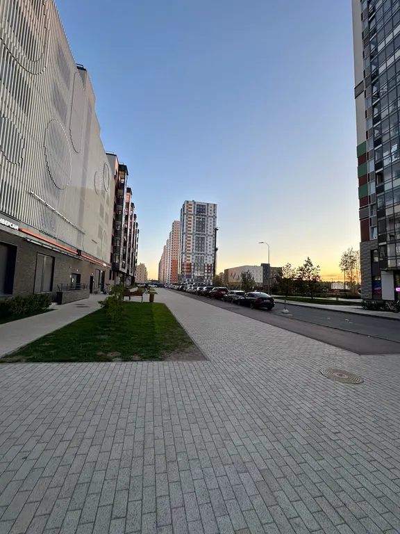 Cтудия с видом на Орловский заказник