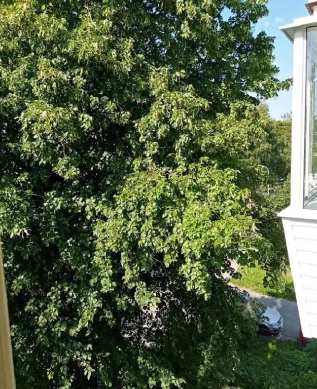 Уютная квартира в центре