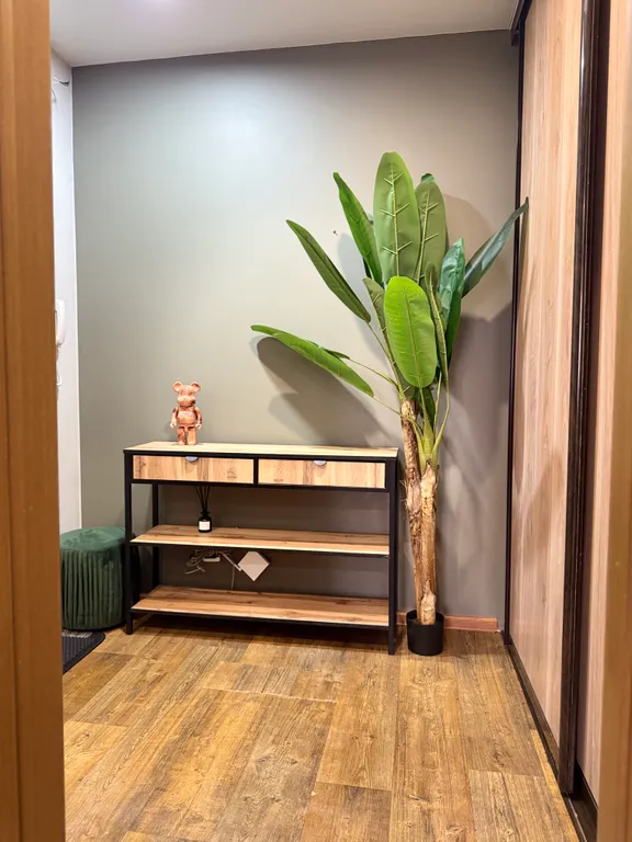 Студия в центре города