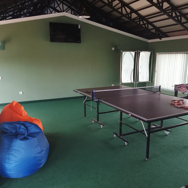 Большая студия