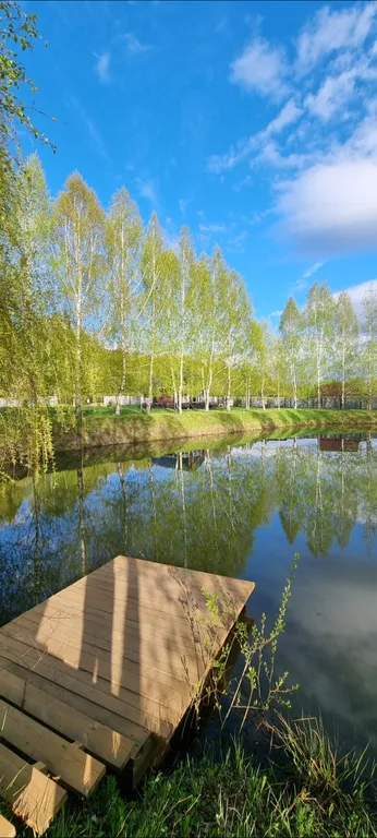 Дом у пруда в лесу