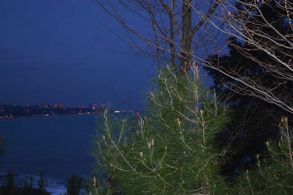 Дом-замок на море