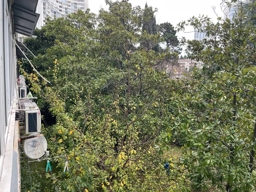 Студия у моря