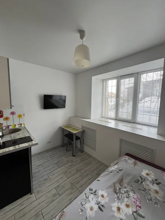 Студия рядом с Краевой больницей на Ляпидевского