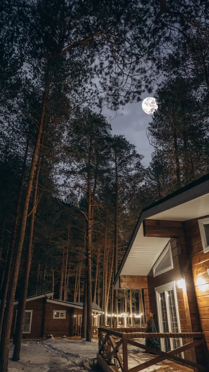 Коттедж из бруса в сосновом бору