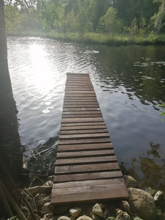 Меличуярви дом из бревна с сауной на берегу озера у самого леса