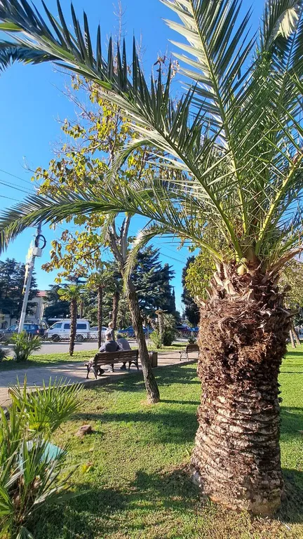 Новая студия в центре Сочи