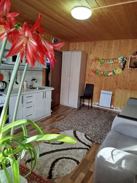 Коттедж в горах Алтая