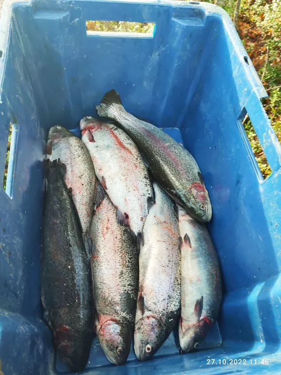 Уютный дом на берегу озера