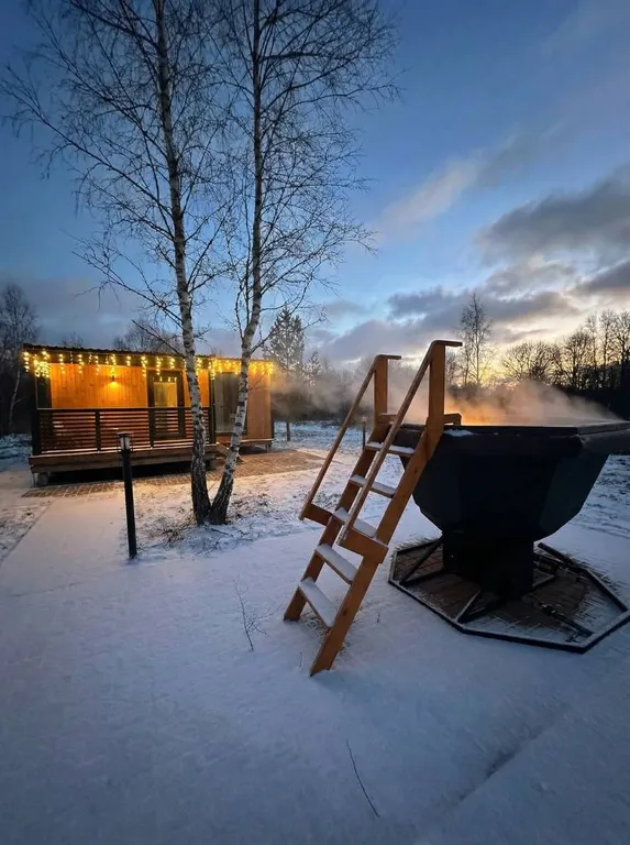 Коттедж Дом в лесу с красивым лесным видом — Еремино