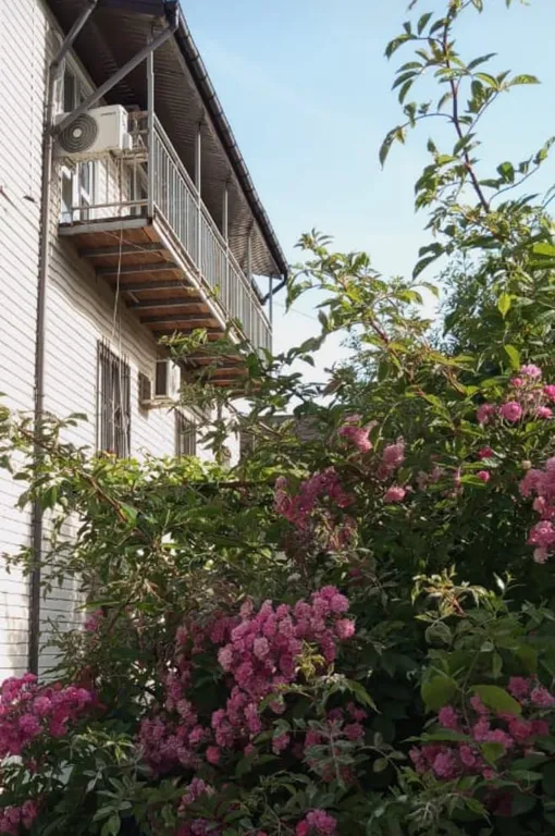 Квартира Комната — Пляхо