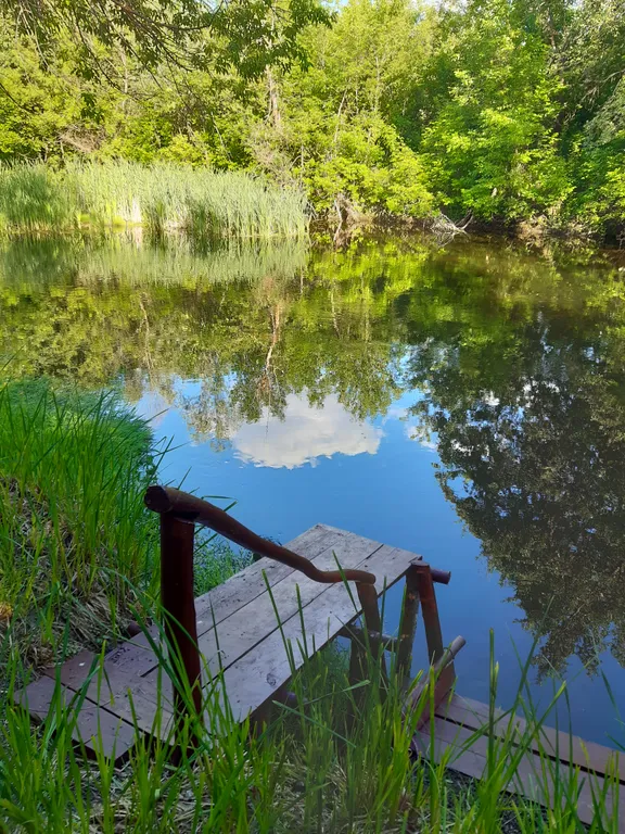 Коттедж Коттедж Хуторское Подворье — Павловка (Тарасовский район)