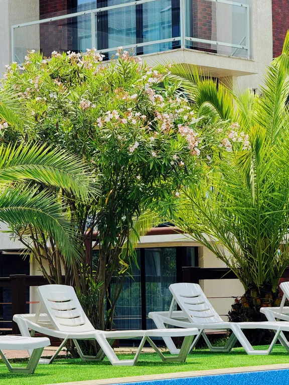 Апартаменты с террасой