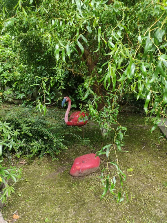 Дом с видом на горы