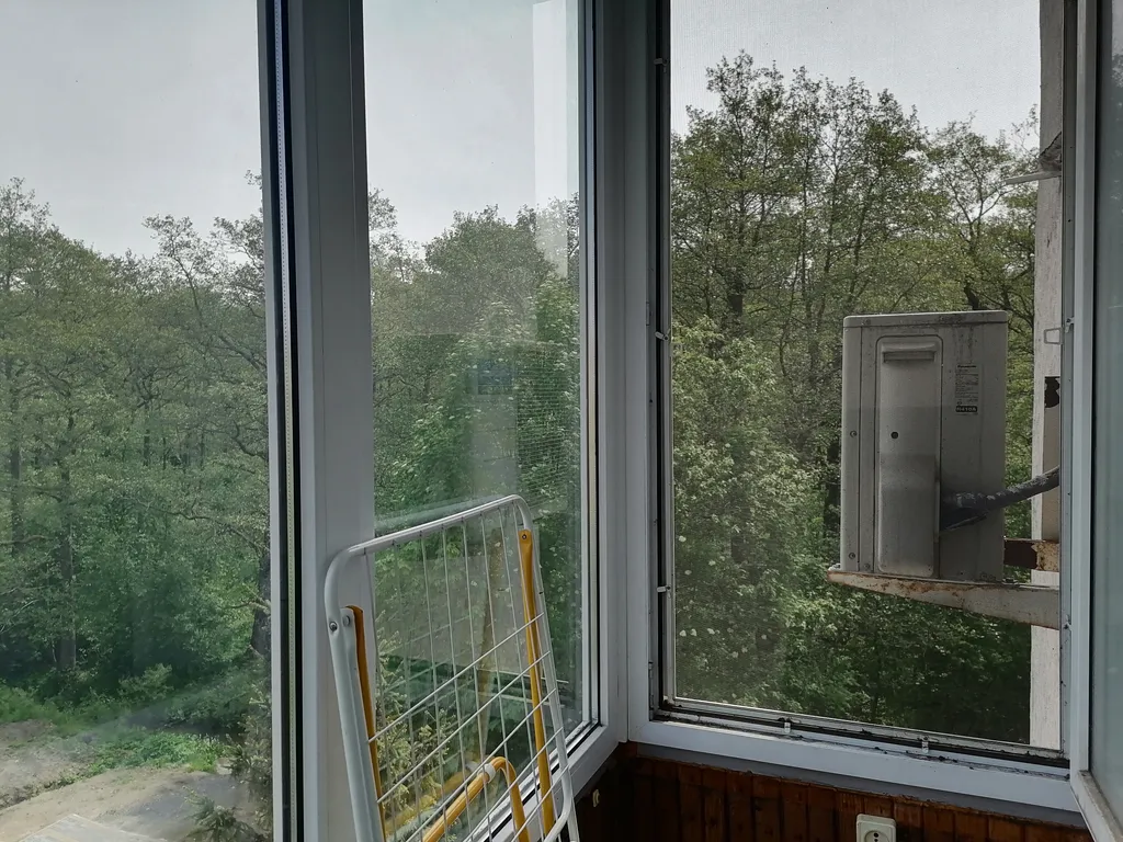 Квартира с видом на лес — аренда посуточно в Зеленоградск