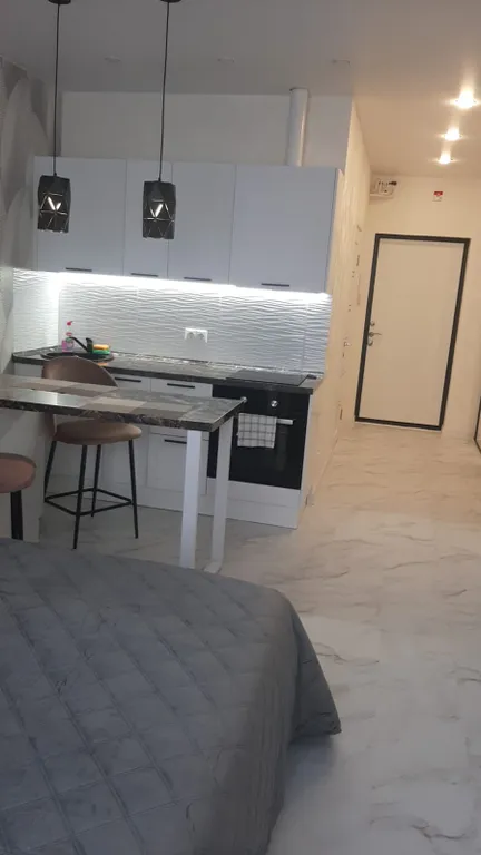 Уютная студия в Долгопрудном