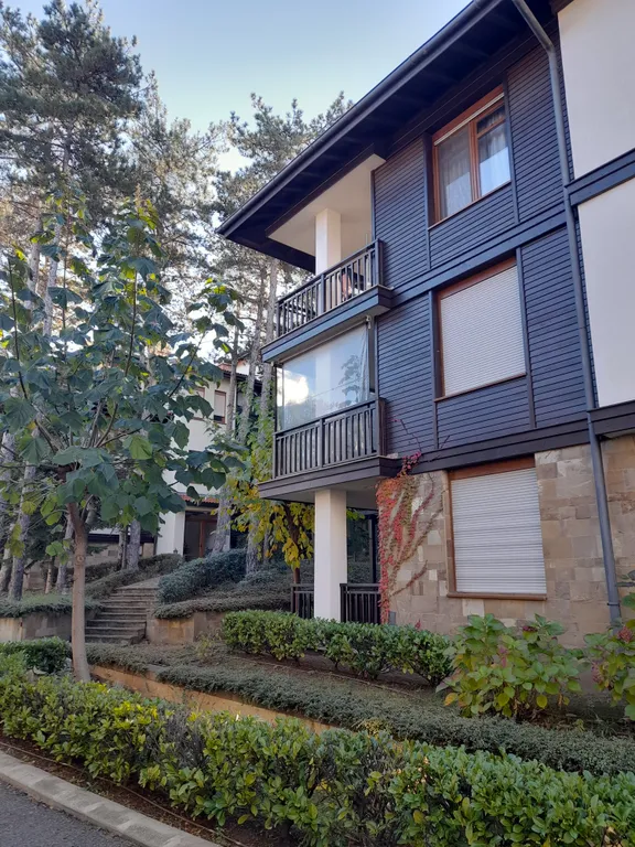 Трехкомнатный люкс в соснах у моря в Санта Марина