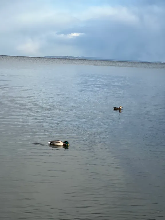 Большой дом с мангалом