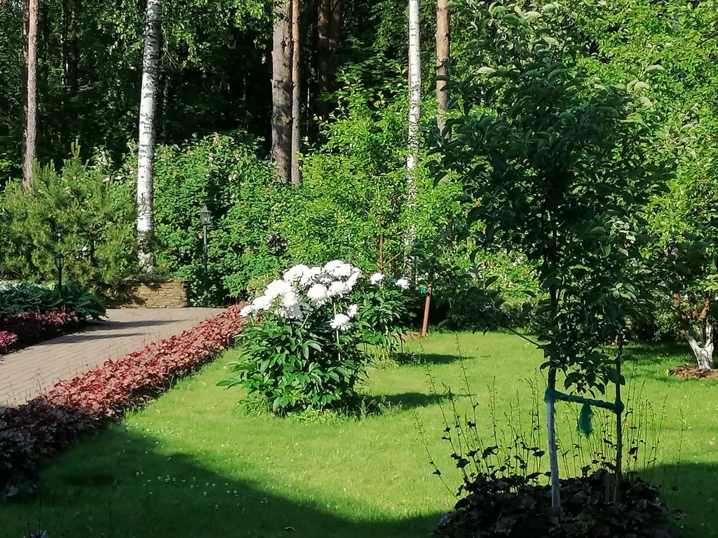 Загородный дом со своим садом