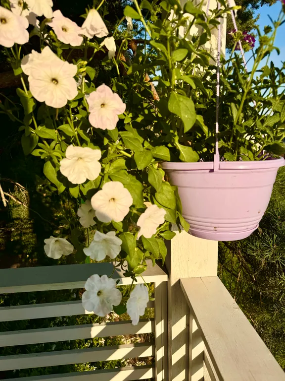 Уютный домик рядом с парком Монрепо