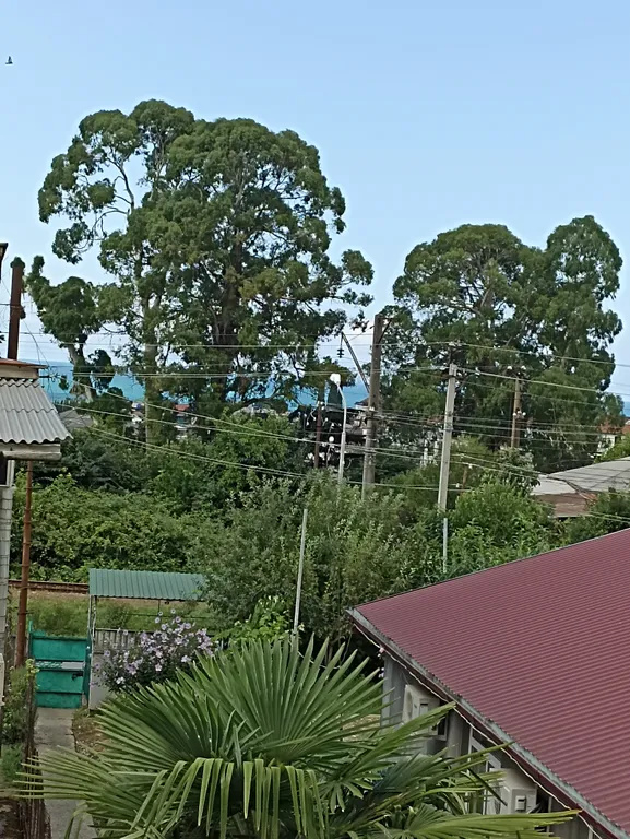 Квартира Квартира Гостевой дом в центре города — Гагра