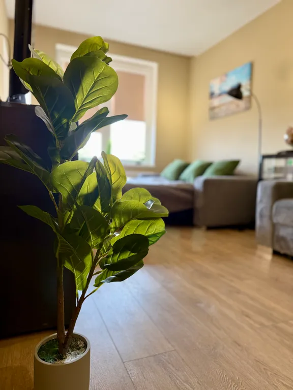 Квартира Апартаменты VictoriaSea — Зеленоградск