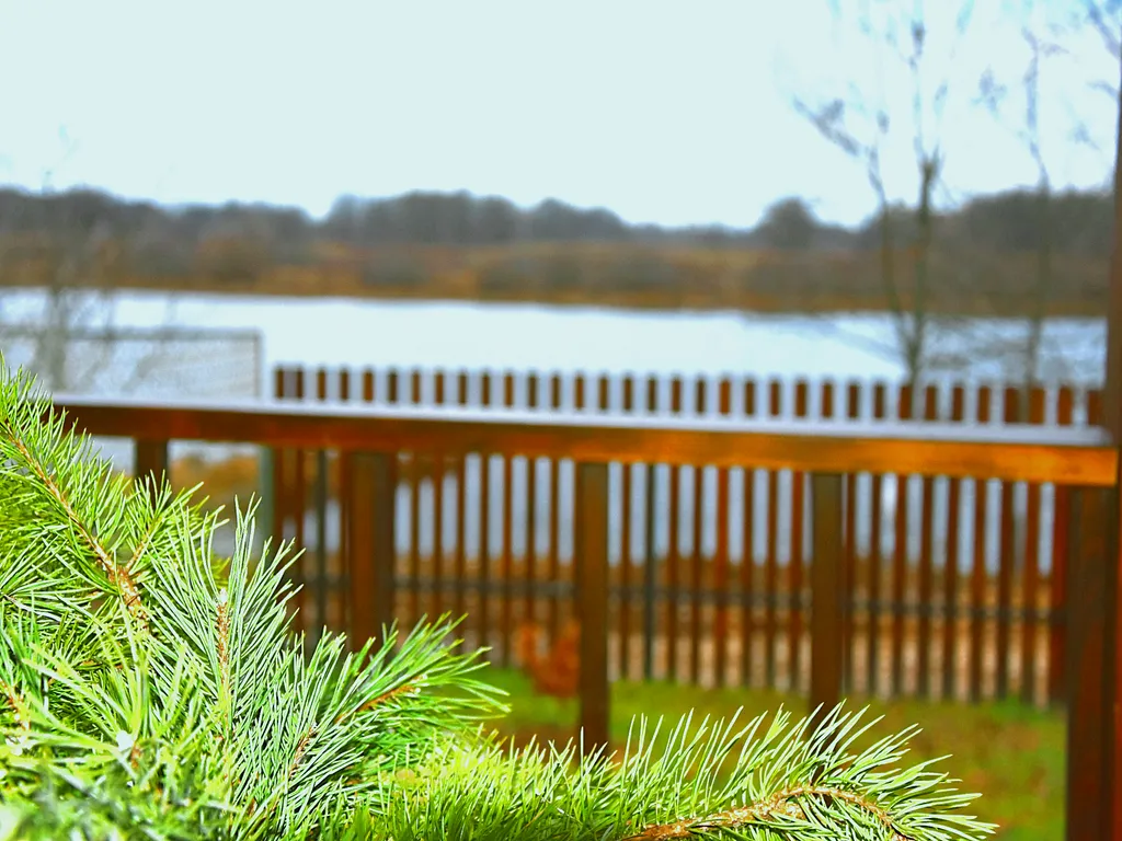 Коттедж Дом на Волге с рубленной баней и банным чаном — Бор