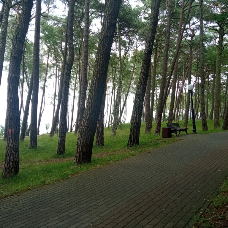 Уютная квартира первой линии Балтийского моря