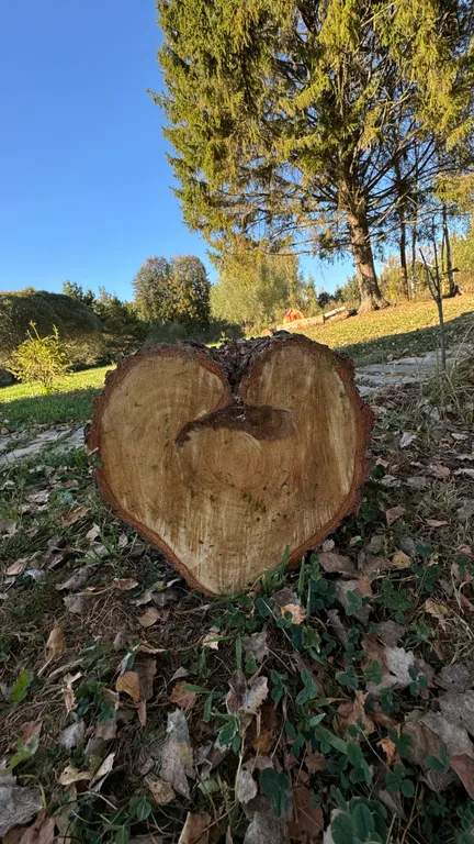 Коттедж Коттедж Уединенный отдых на природе с комфортом — Таблово