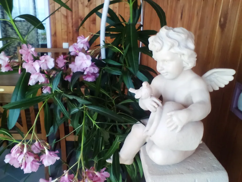 Студия с 1 кроватью с видом на море